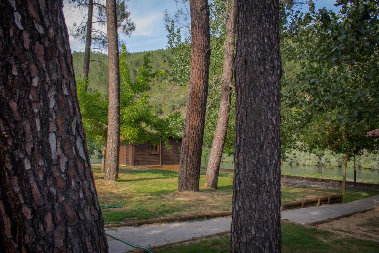Xisto Camping Janeiro de Baixo Экстерьер фото