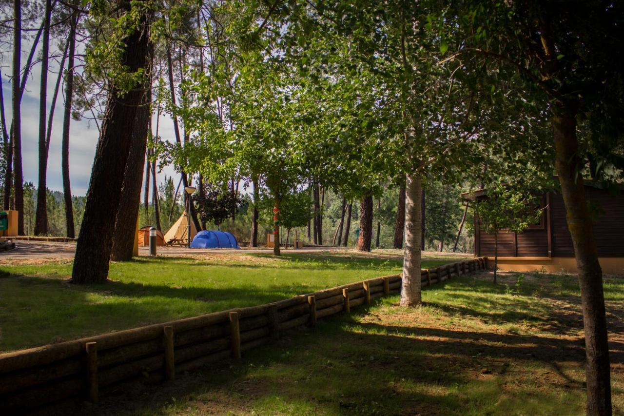 Xisto Camping Janeiro de Baixo Экстерьер фото