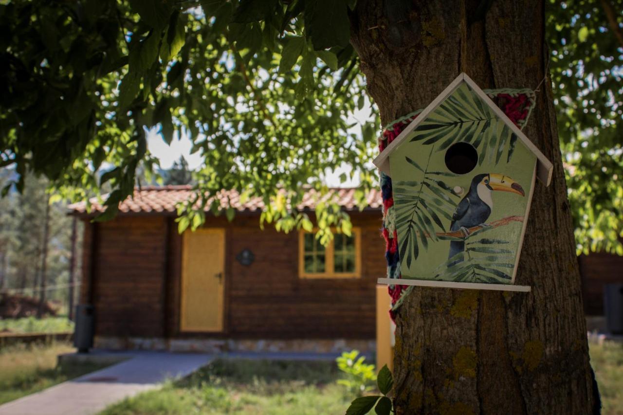 Xisto Camping Janeiro de Baixo Экстерьер фото